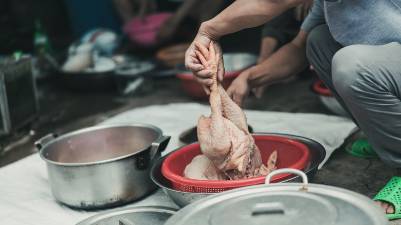 Preparing a meal of Dong Tao chicken 