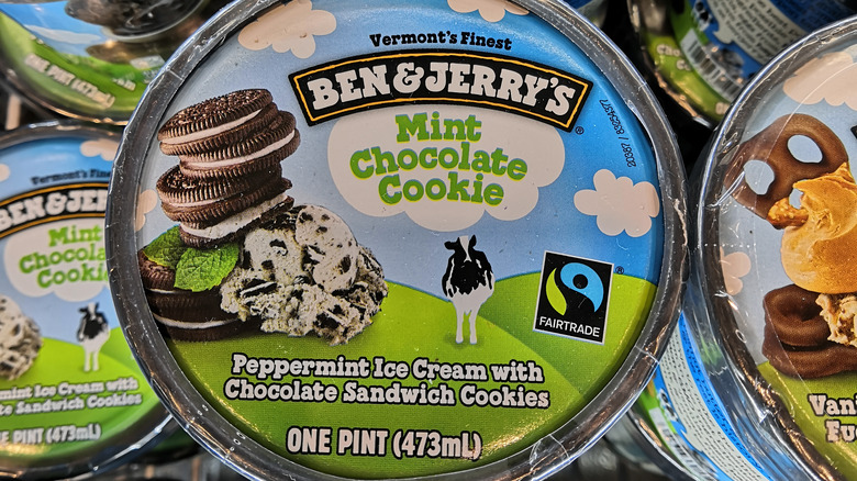 Ben and Jerry's Mint Chocolate Cookie