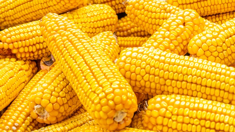 Corn