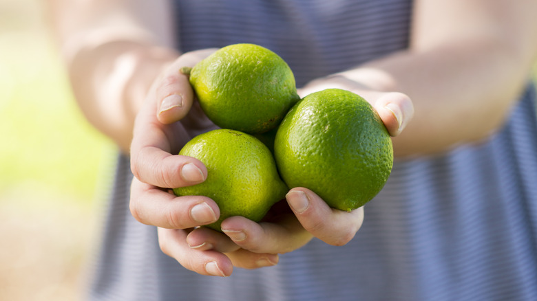 Hands holding American-grown limes from Hawaii