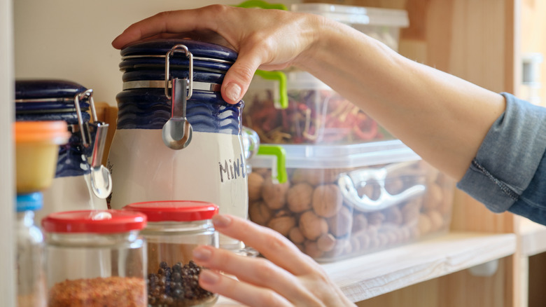 Person storing spices in pantry