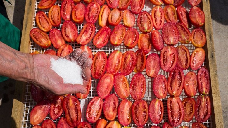 Person pouring salt on sliced tomatoes