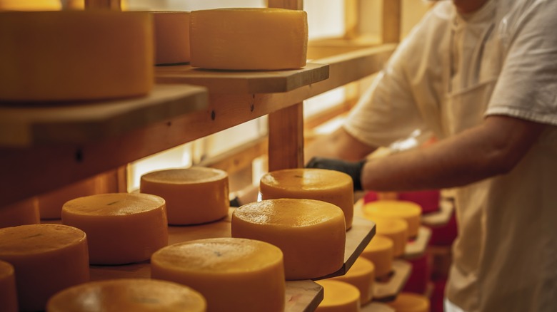 Cheese being aged with a man cutting some