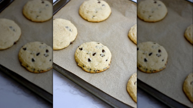 chocolate chip cookies on paper