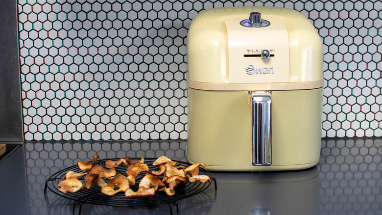 dried apples and air fryer