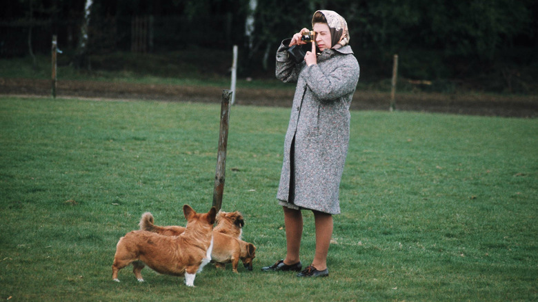 Queen Elizabeth and her corgis