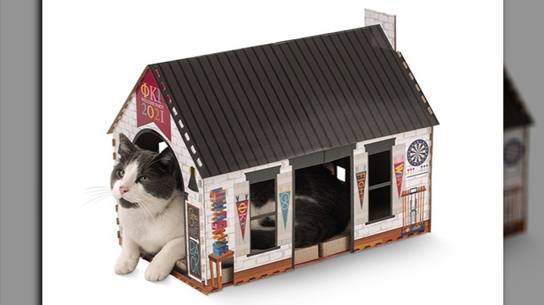 Heart to Tail Cat Scratching Playhouse