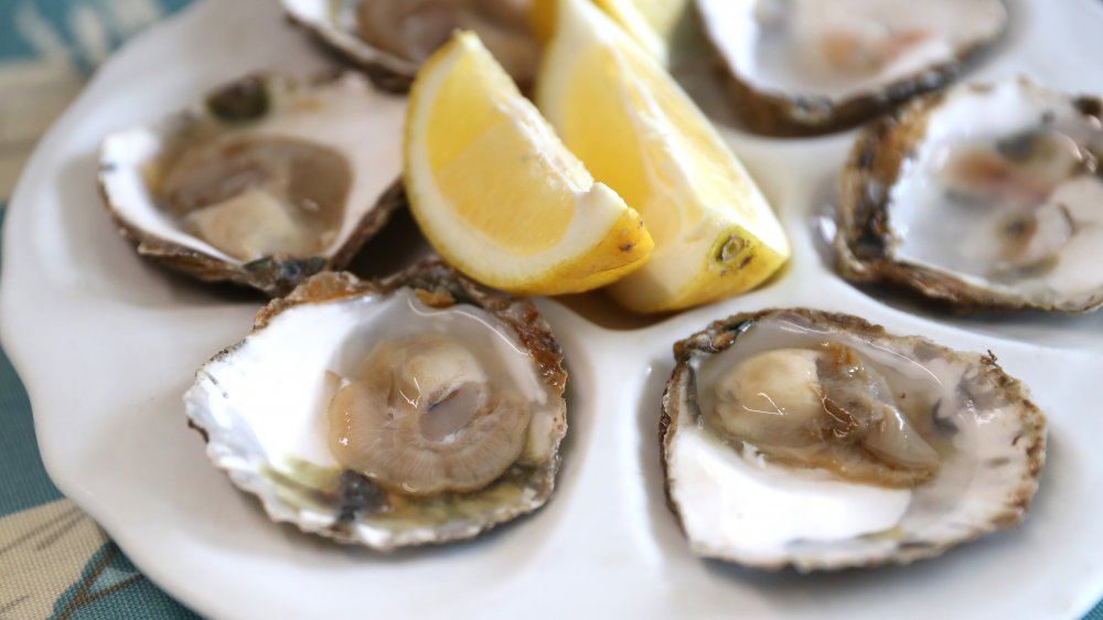 oysters