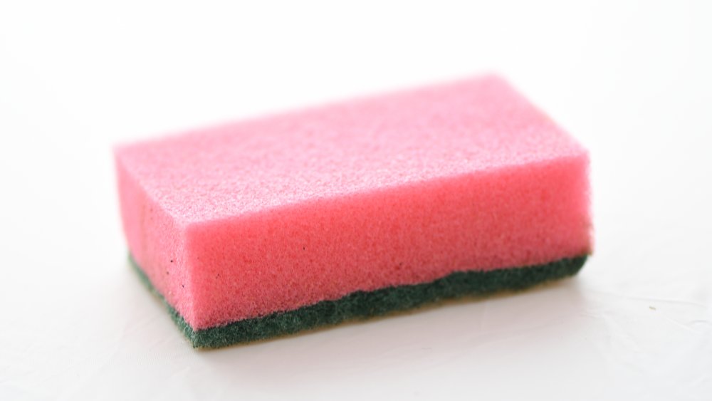 Pink Sponge isolated on White Background