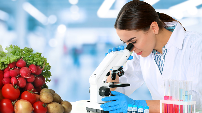 Scientist examining food