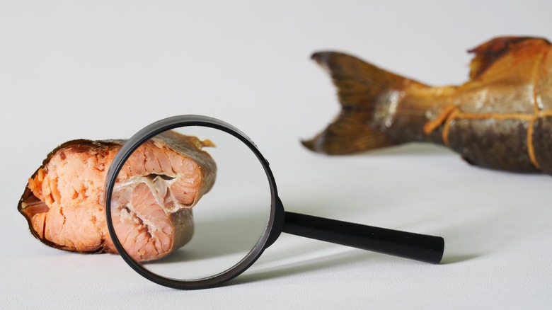 Magnifying glass detailing part of spoiled salmon