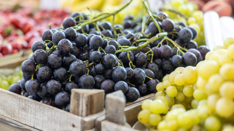 bunches of grapes