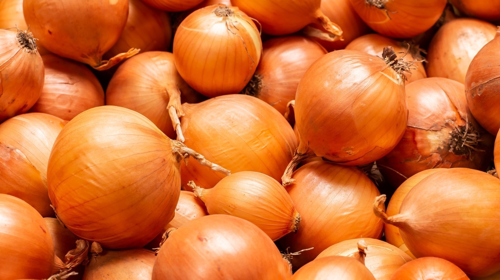 These Costco, Aldi, and Kroger Onions Won’t Make You Cry Nevada News