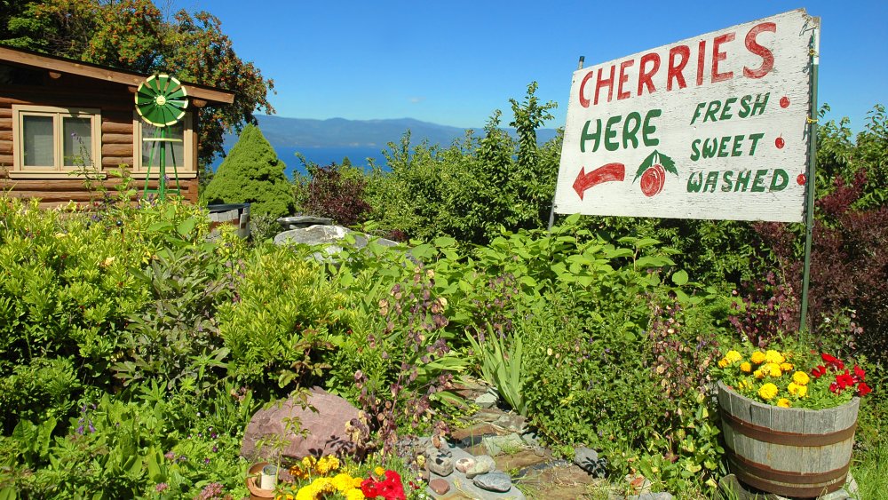 Cherries for sale