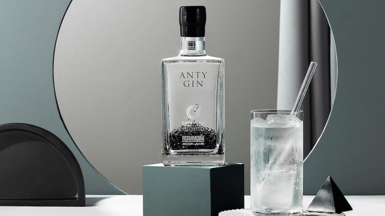 Anty Gin bottle and drink