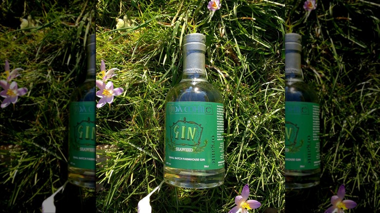 Dà Mhìle Organic Seaweed Gin