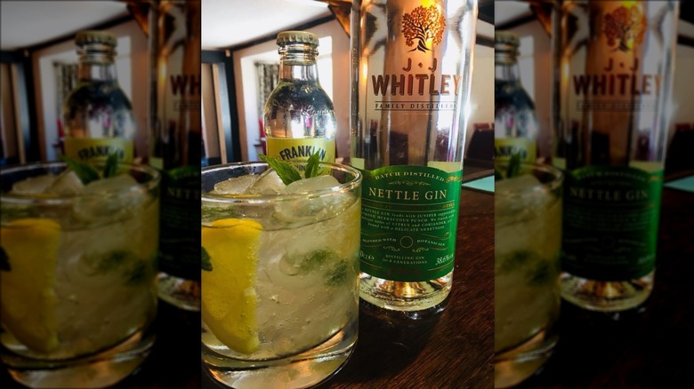 J.J. Whitley Nettle Gin with cocktail