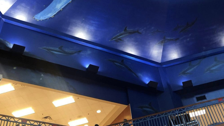 Humpback whale dome ceiling 