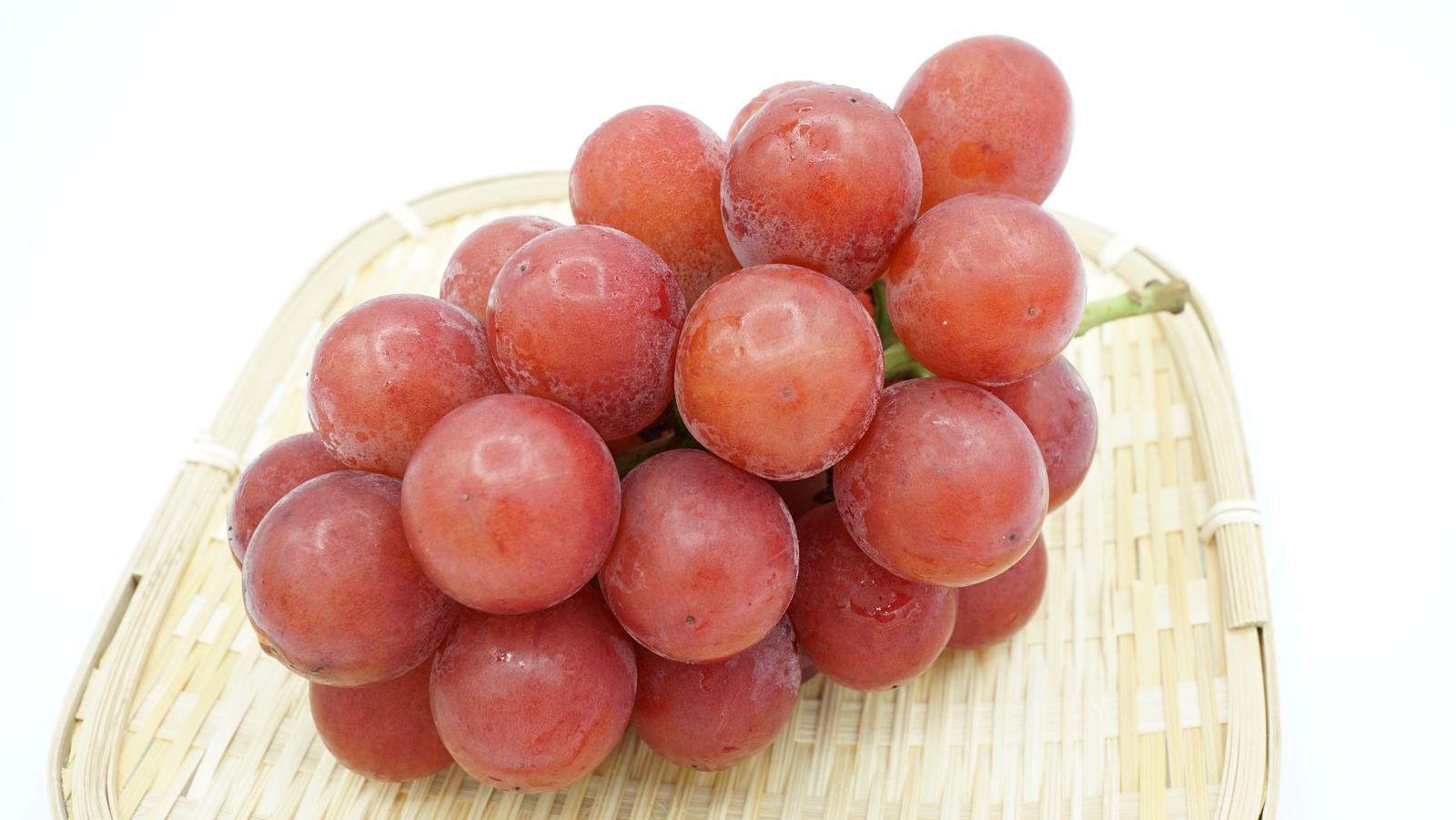 рубин виноград фото