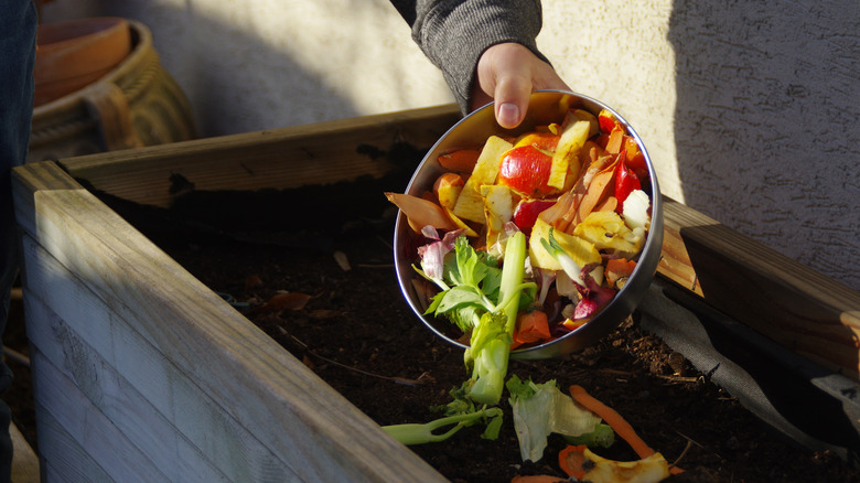 compost, food scraps