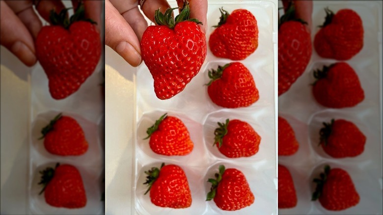 Omakase strawberry in Simmons's hand