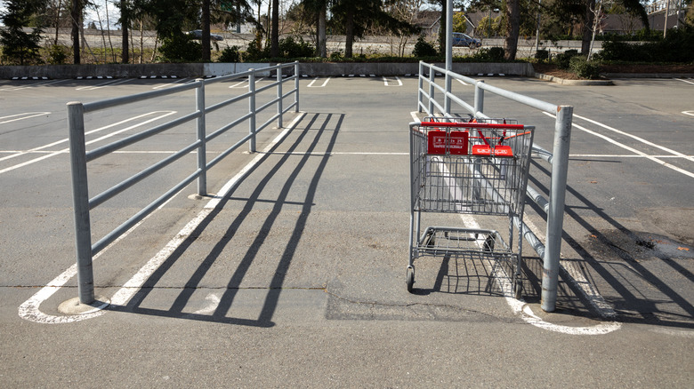 shopping cart in corral