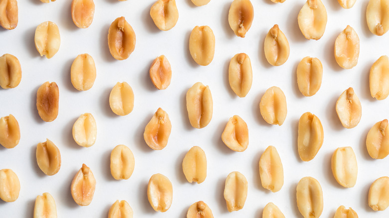 shelled peanuts on a white background