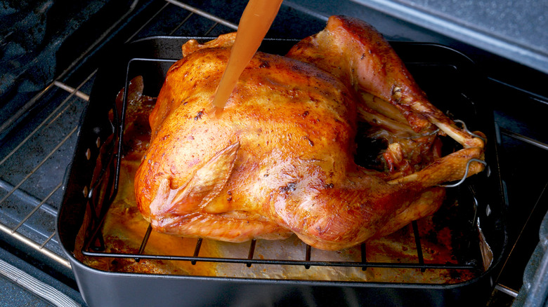 brown roast turkey with baster