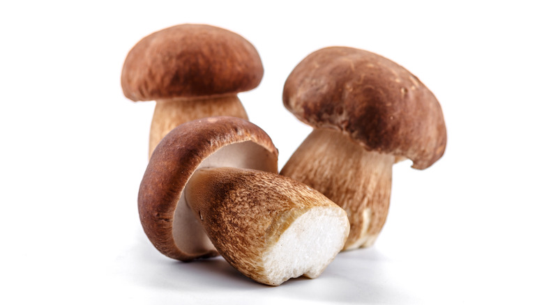 three mushrooms on white background