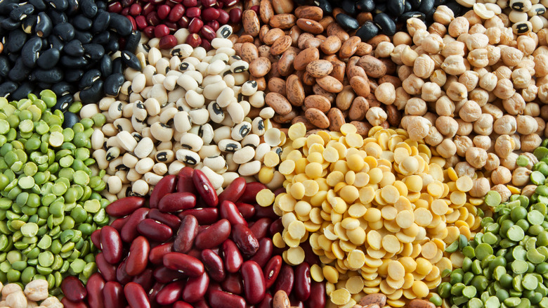 Colorful assorted dried beans