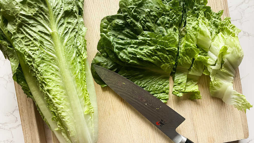 romaine lettuce and chef's knife on cutting board