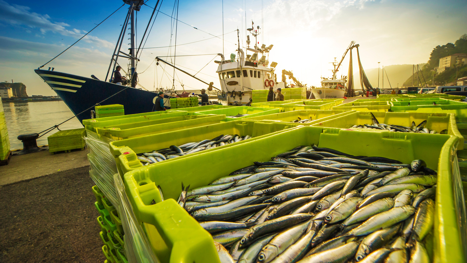 This Country Eats More Seafood Than Any Other In The World