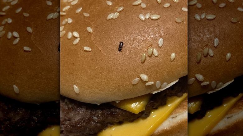 flour bug baked into bun