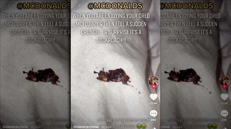 Cockroach parts from McFlurry on comforter