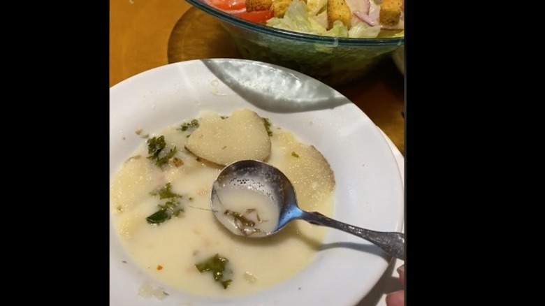 Bowl of soup with a bug in it