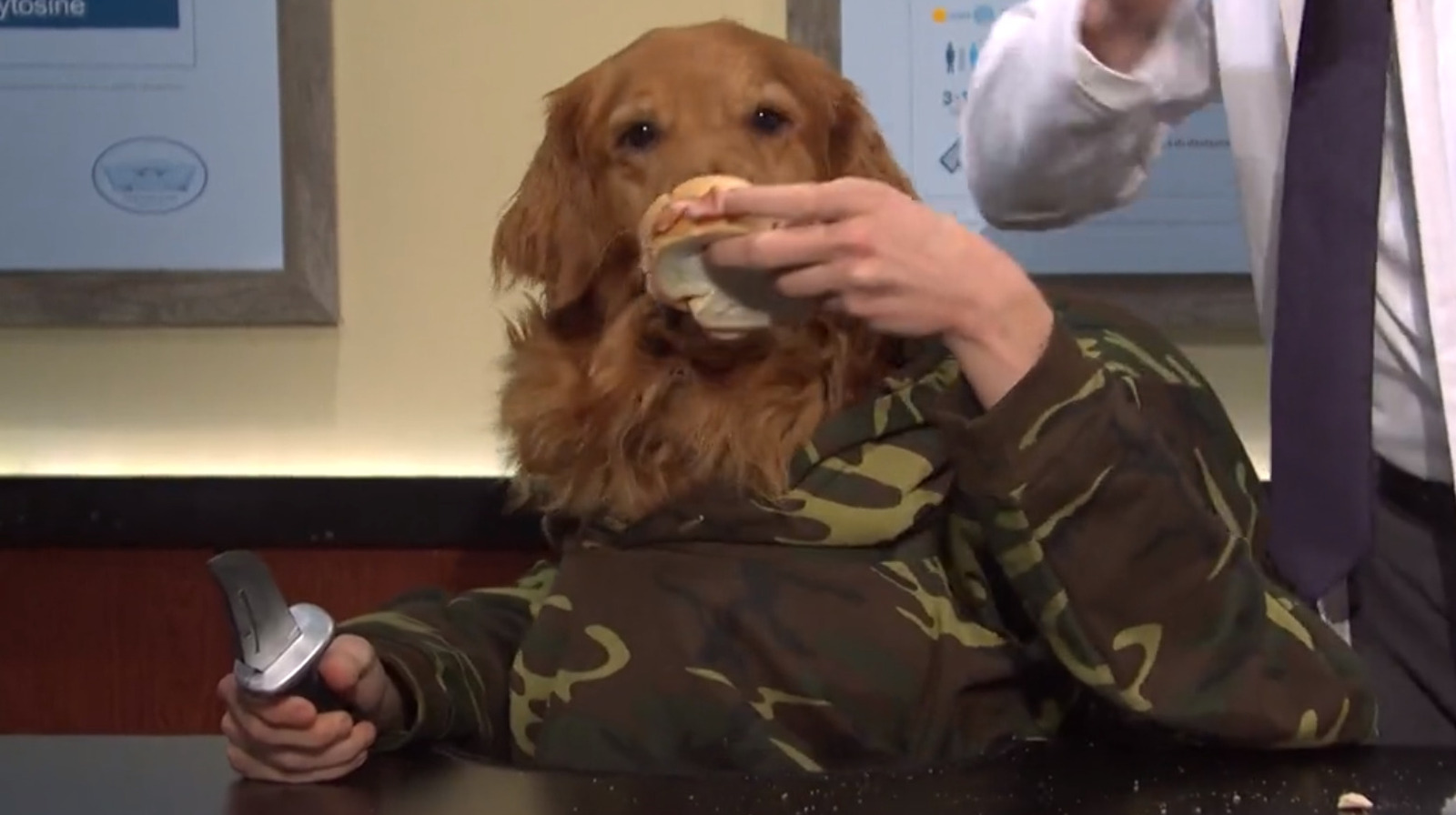 This Hungry SNL Dog Has Won The Hearts Of The Internet