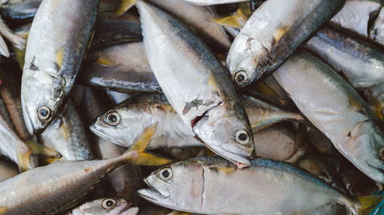 bulk fish display on ice