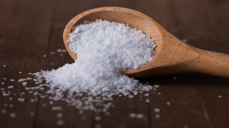 Kosher salt on spoon