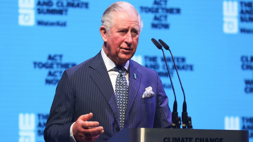 Prince Charles speaks at an event