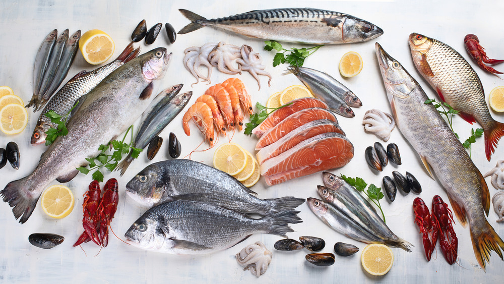 Layout of fresh fish on white background