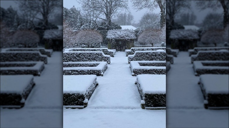 A photo of a snowy backyard from Ina Garten's Instagram