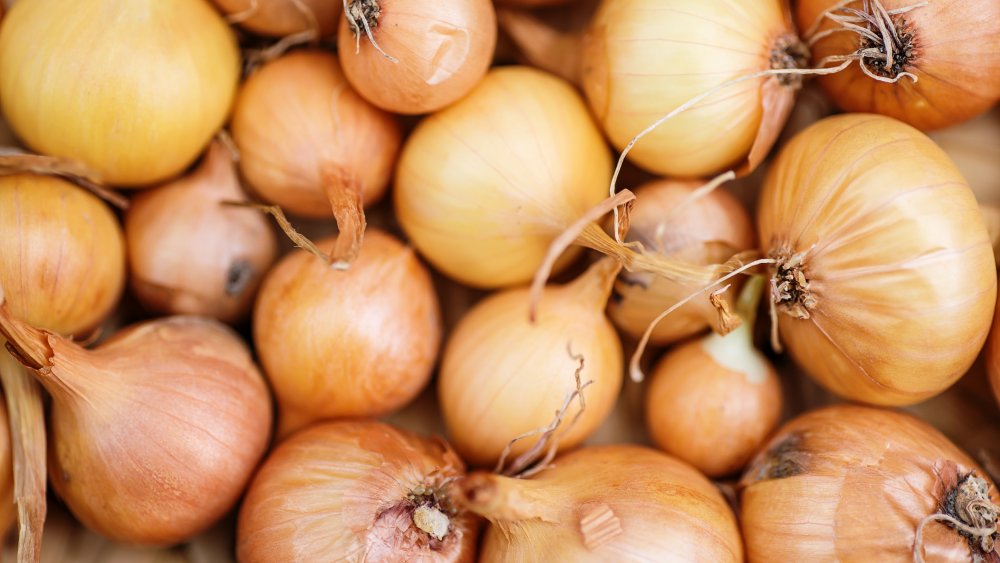 this-is-the-best-type-of-onion-to-use-in-french-onion-soup