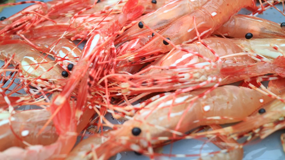 Fresh, raw spot prawns