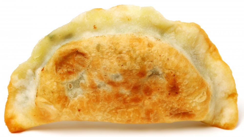 Fried dumpling with a crispy bottom