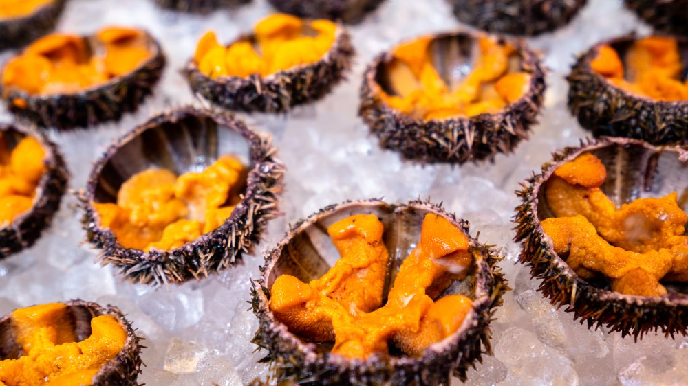 This Is The Best Way To Eat Sea Urchin