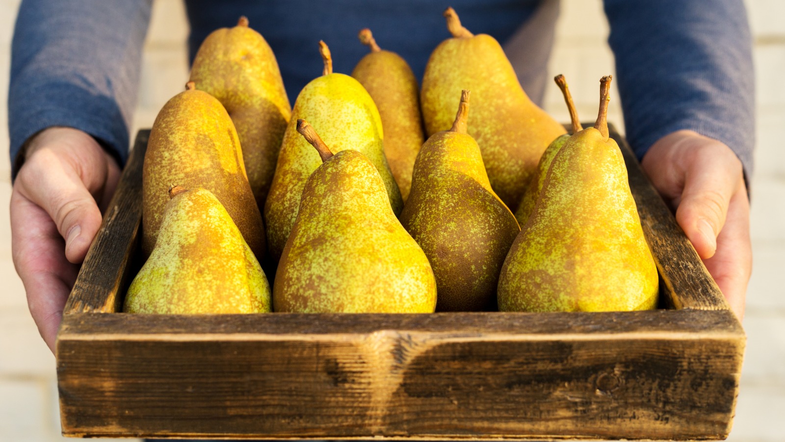 This Is The Most Expensive Pear In The World