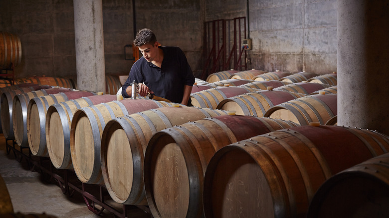 Man transferring wine from barrels