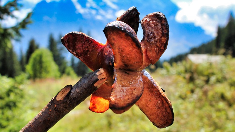 This Is The Most Popular Sausage In Switzerland