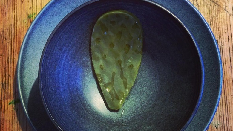 A cactus paddle on a blue plate 