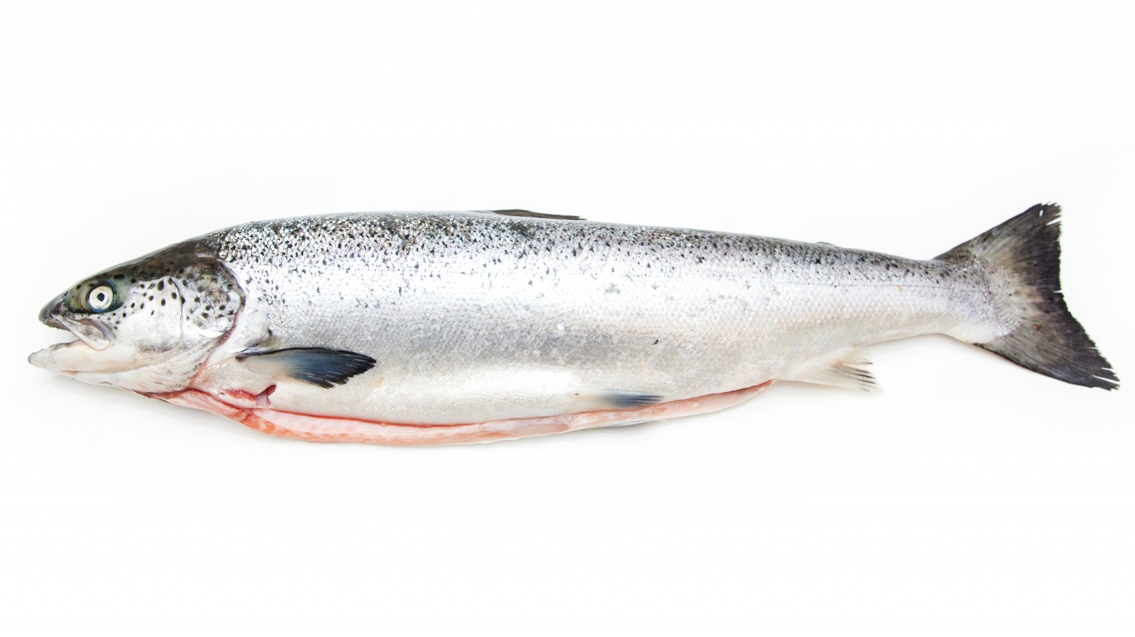 This Is The Worst Part Of Salmon You Can Buy